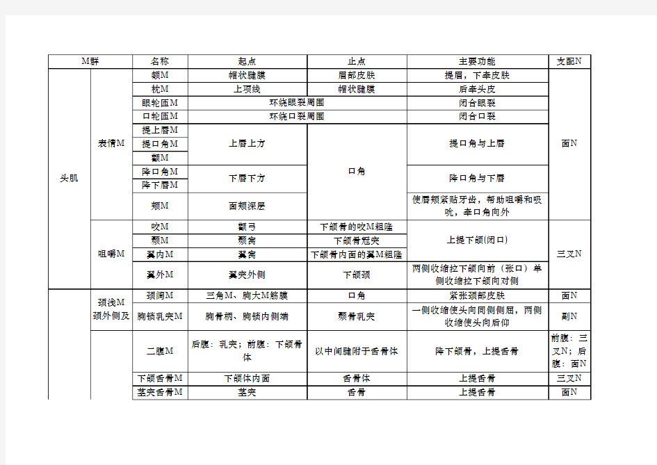 系统解剖学-肌肉总结