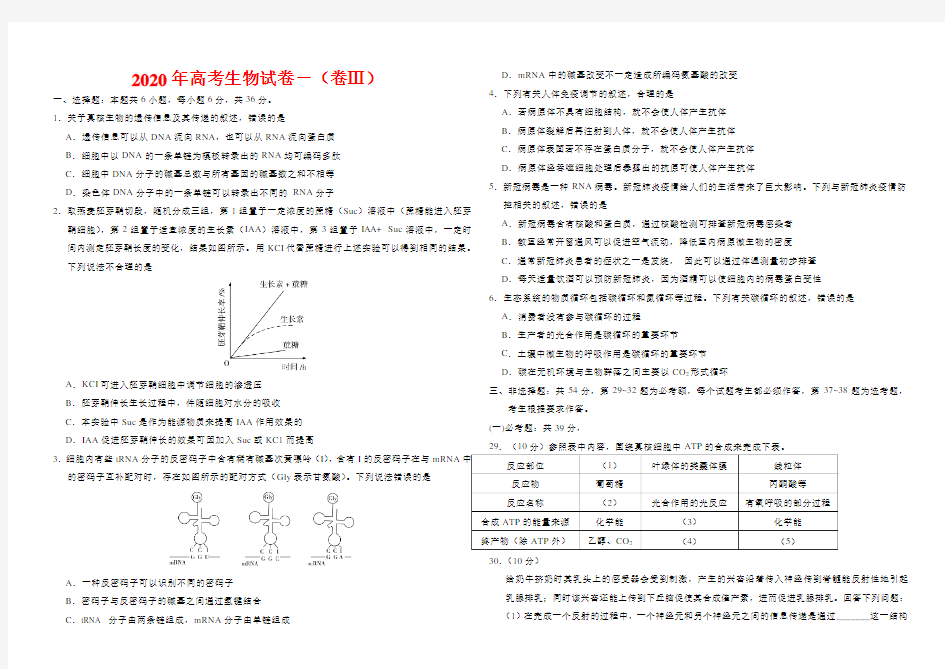 2020年高考生物试卷-(卷Ⅲ与答案)