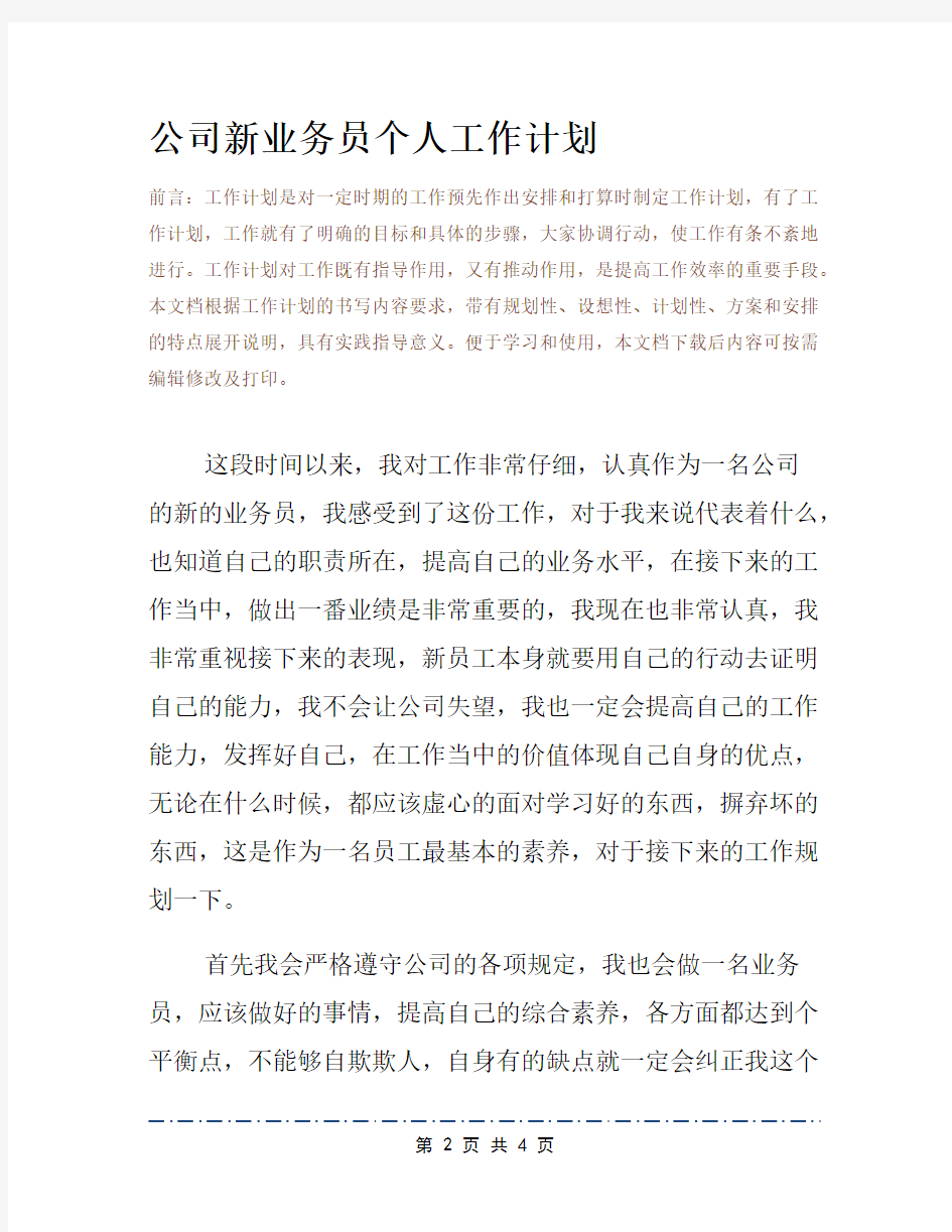 公司新业务员个人工作计划