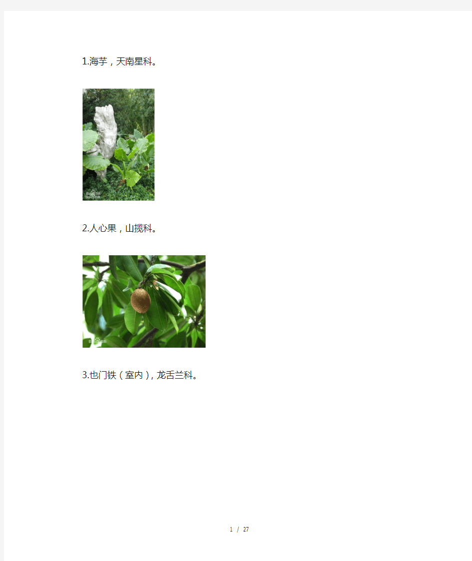 常见园林植物图片和名称(80种)