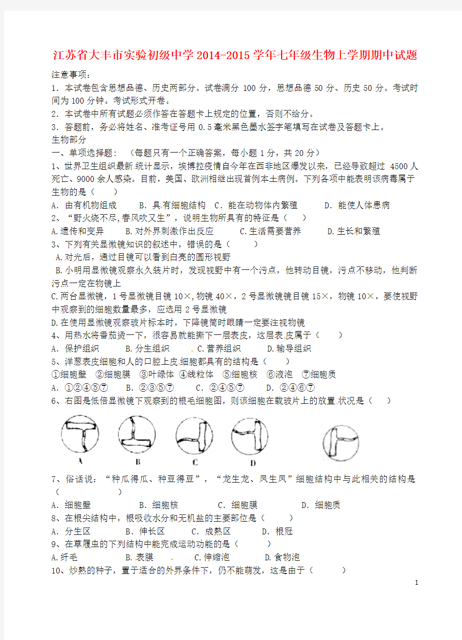 江苏省大丰市实验初级中学2014-2015学年七年级生物上学期期中试题 苏教版