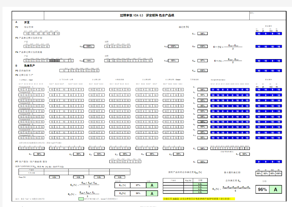 VDA6.3表格(2010已填写)