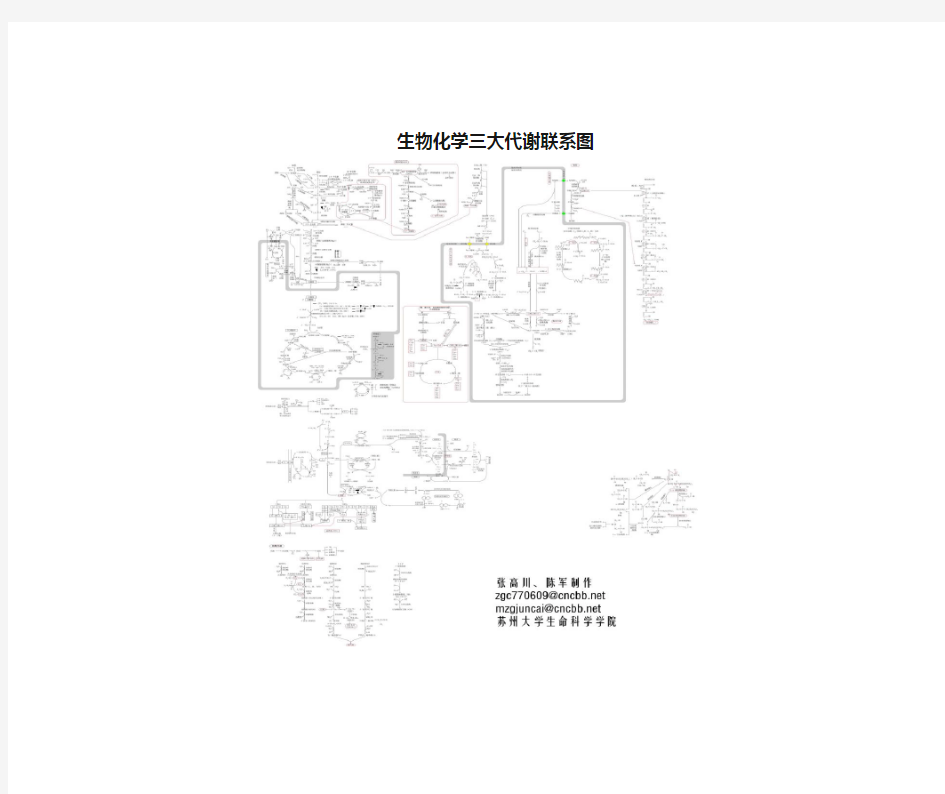 生物化学中三大物质代谢联系图