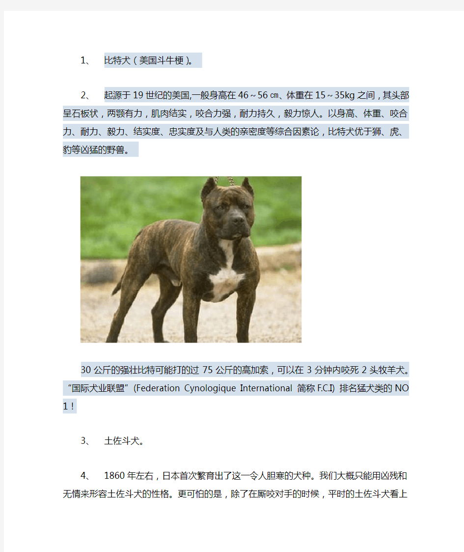 世界十大凶悍犬排名,,附图