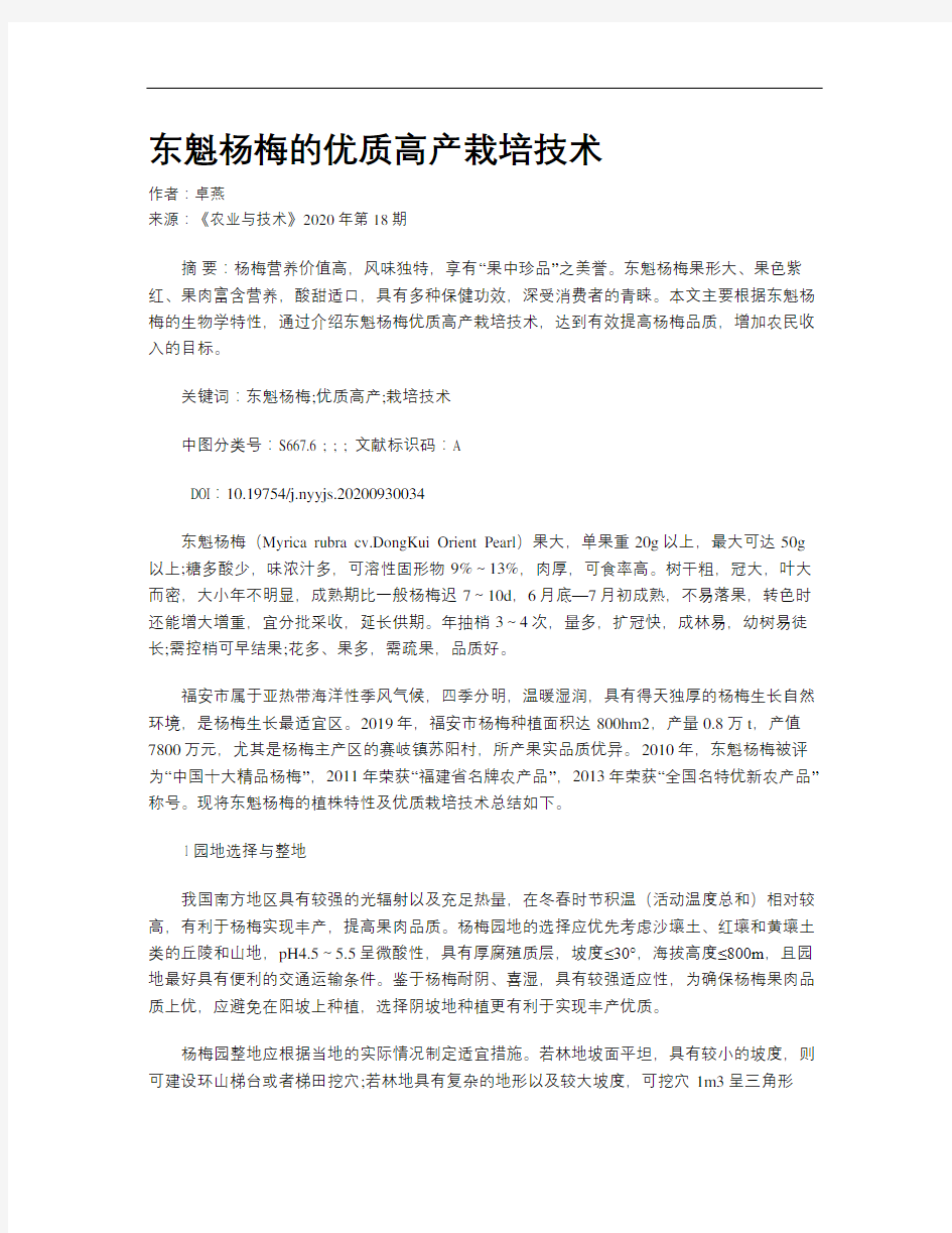 东魁杨梅的优质高产栽培技术