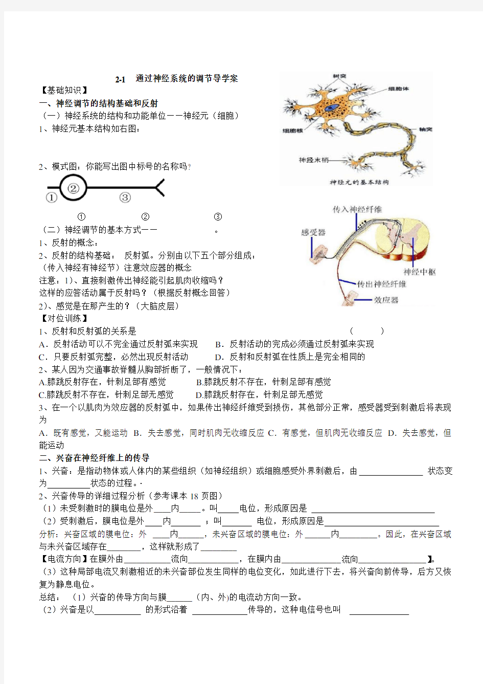 整理好的神经调节导学案