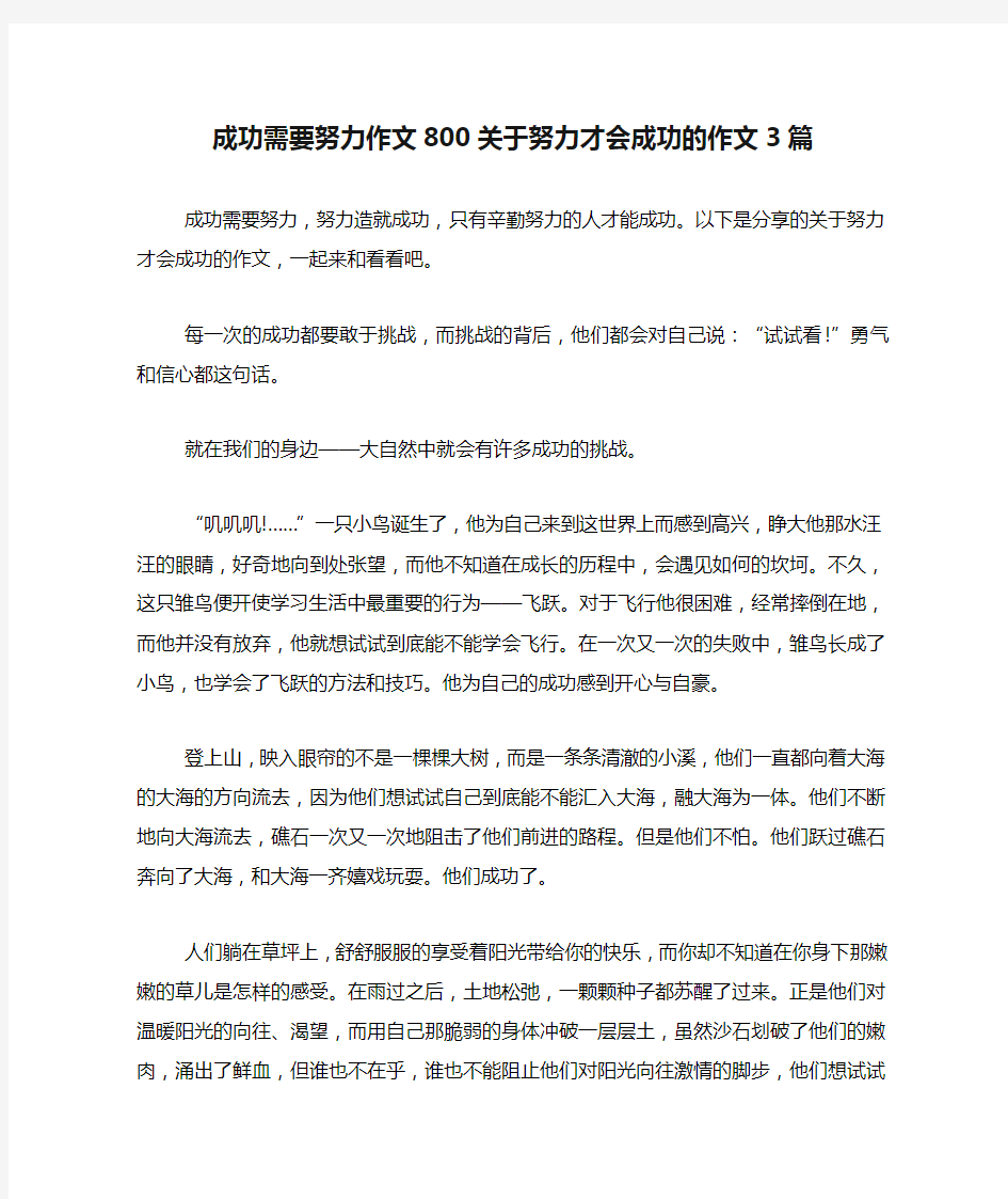 成功需要努力作文800关于努力才会成功的作文3篇