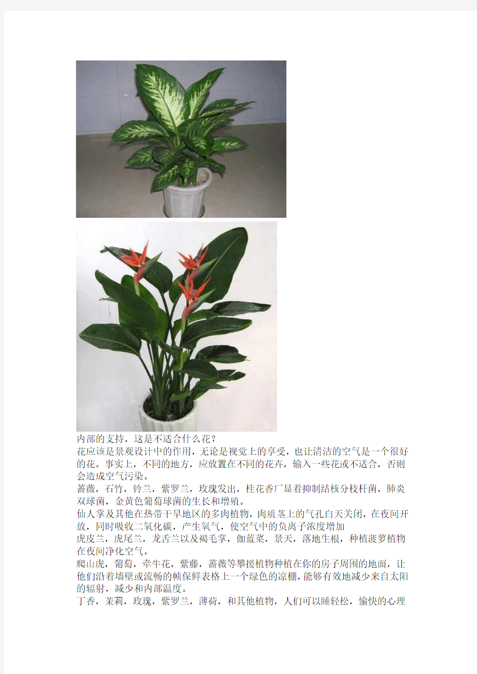 绿植租摆需要注意的几点