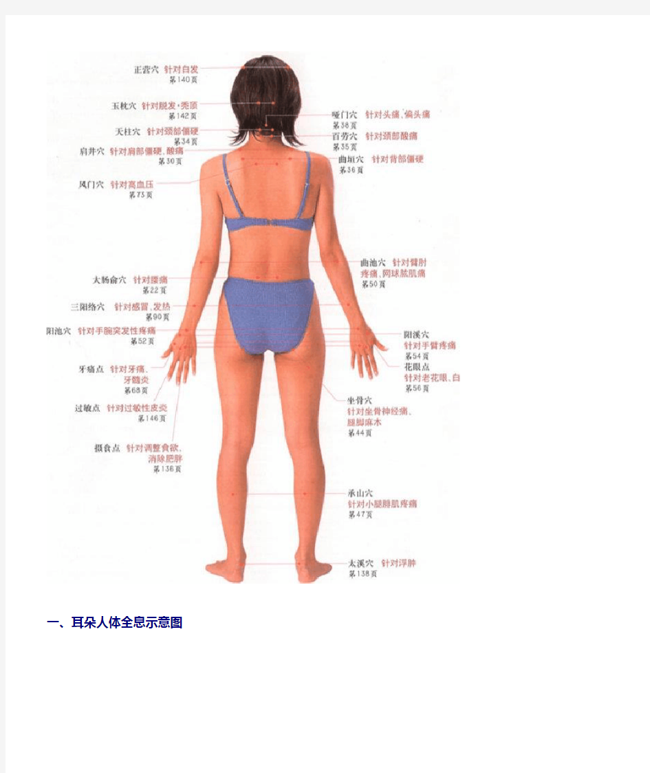 美女演示版人体按摩穴位示意图V2011修正版