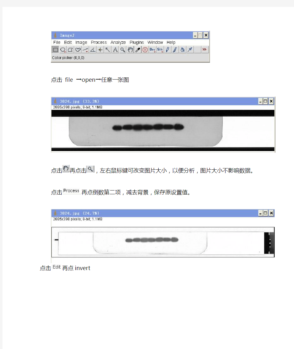 ImageJ分析western步骤