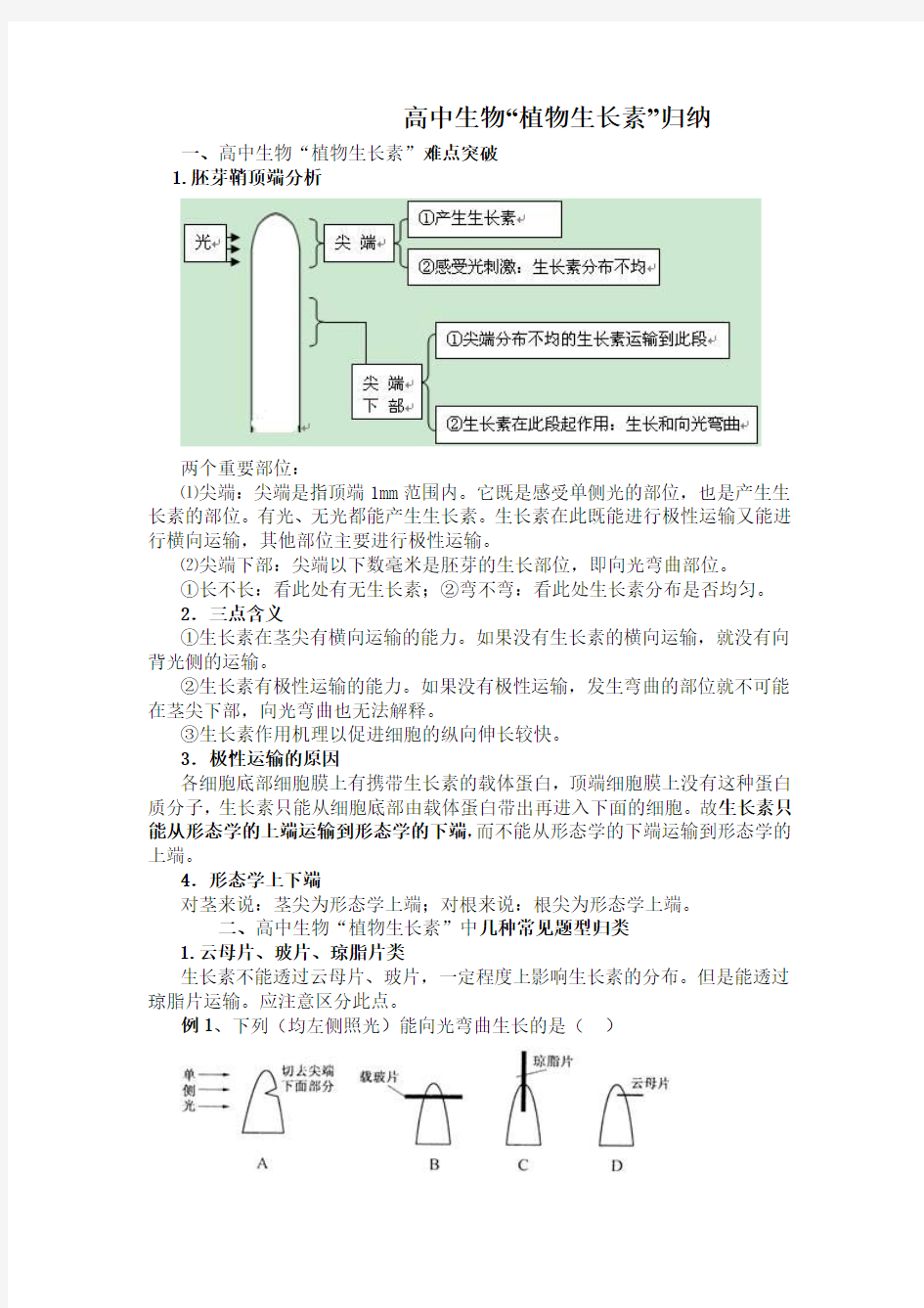 植物生长素归纳