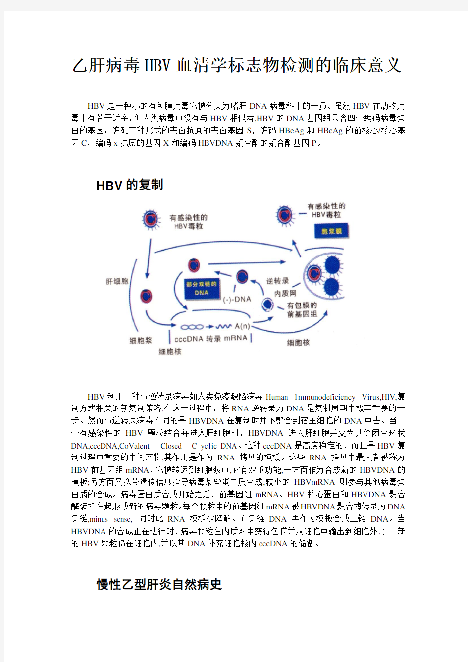 乙肝病毒HBV血清学标志物检测的临床意义