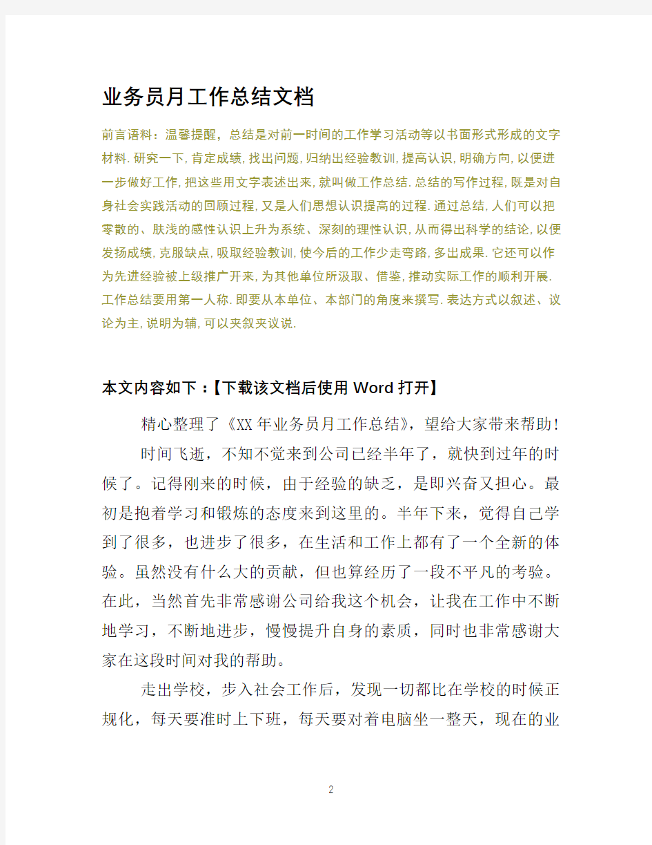 业务员月工作总结文档