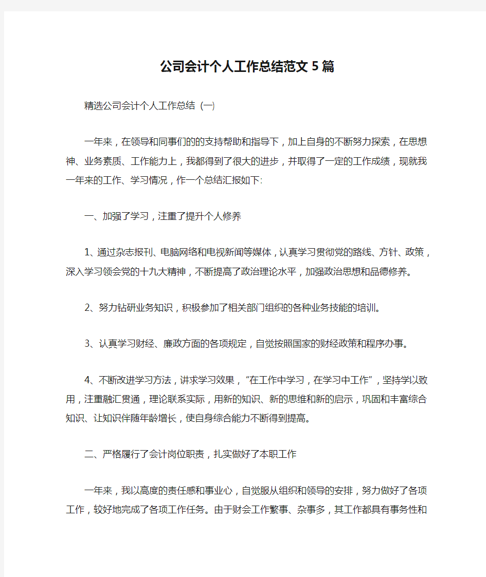 公司会计个人工作总结范文5篇