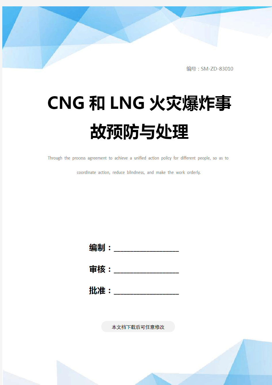 CNG和LNG火灾爆炸事故预防与处理
