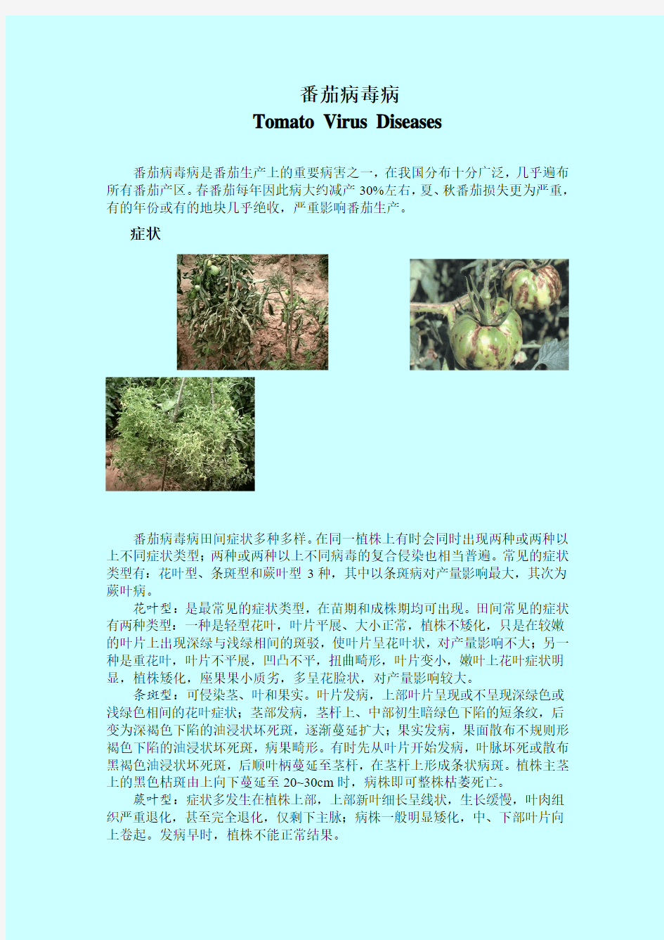 番茄病毒病[1]