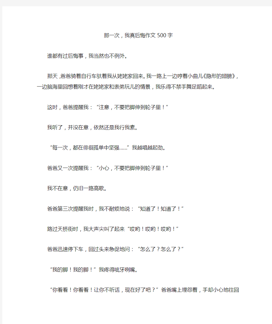 那一次,我真后悔精选优秀作文500字