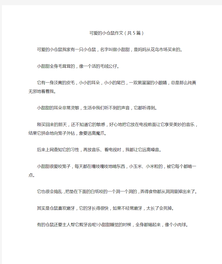 可爱的小仓鼠作文(共5篇)