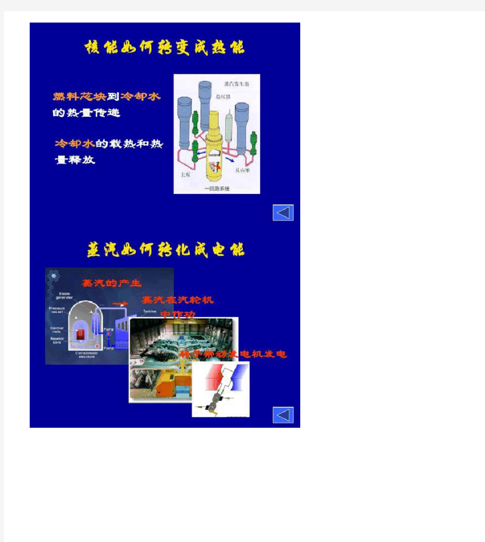 CPR1000压水堆核电站反应堆原理图.
