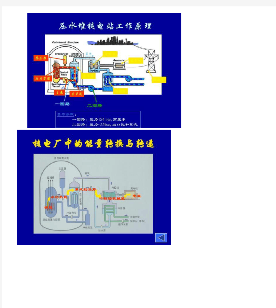 CPR1000压水堆核电站反应堆原理图.