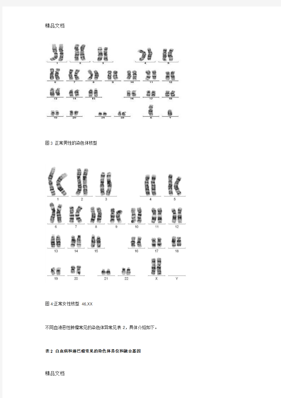 染色体核型分析教程文件