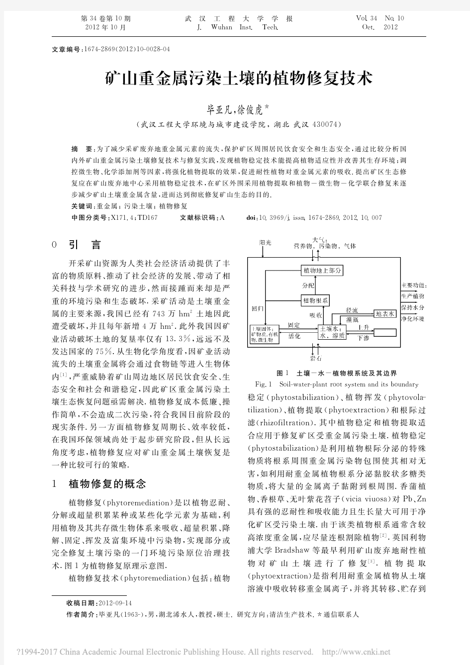 矿山重金属污染土壤的植物修复技术_毕亚凡