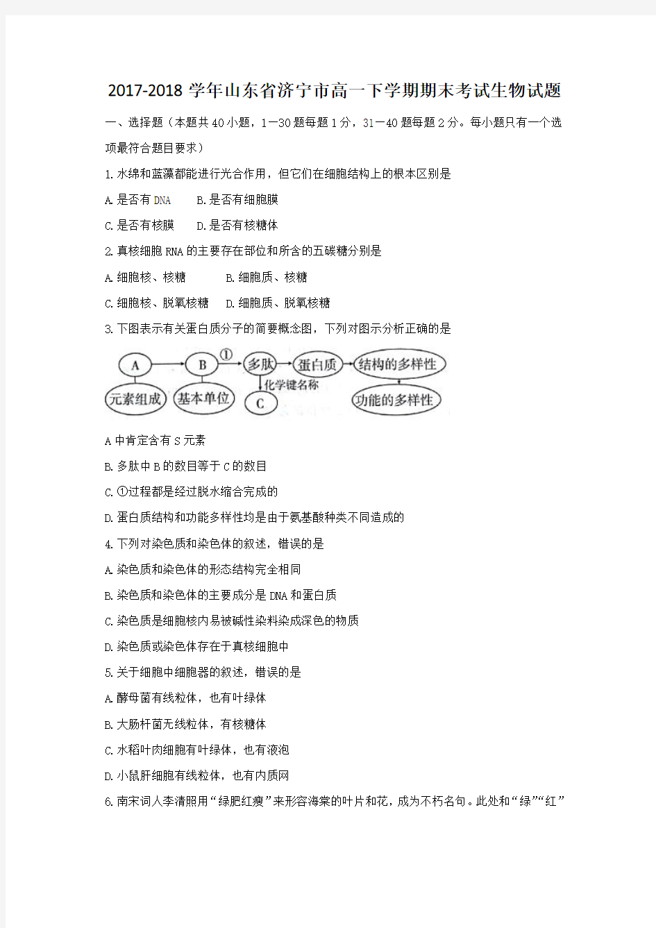 2017-2018学年山东省济宁市高一下学期期末考试生物试题