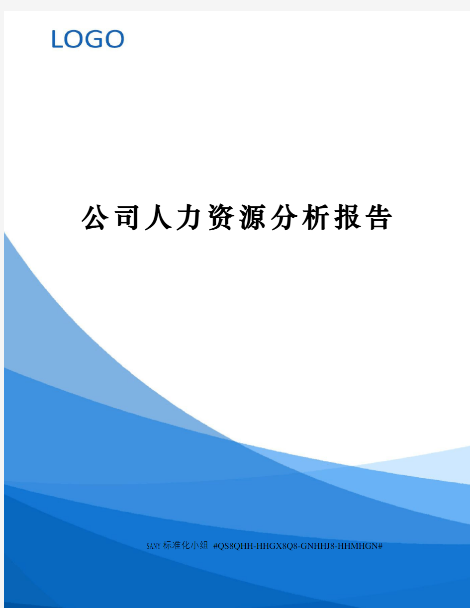 公司人力资源分析报告