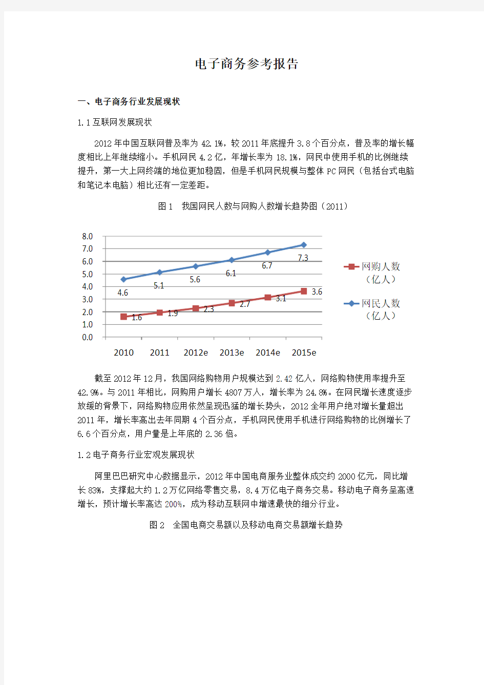 2013年电子商务行业参考报告