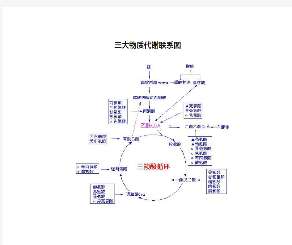 三大物质代谢联系图