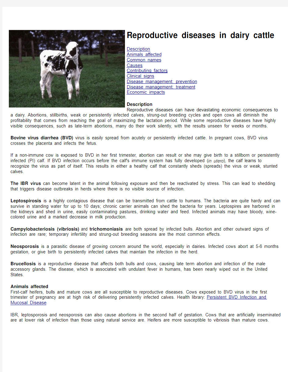 Reproductive diseases in dairy cattle - Cooks Community