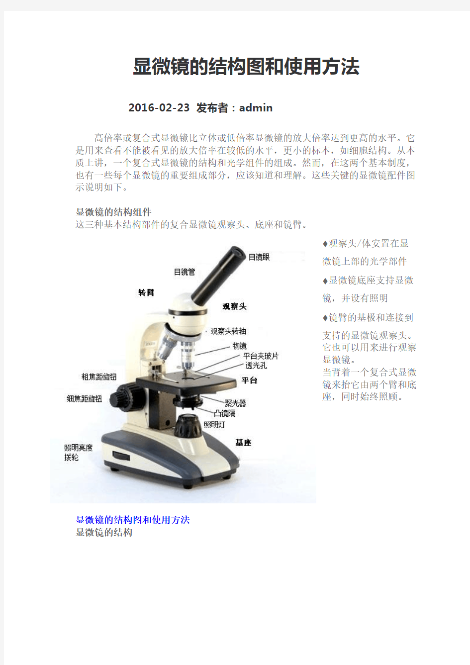 显微镜结构和使用方法