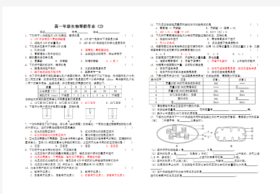 高一年级生物寒假作业(2)