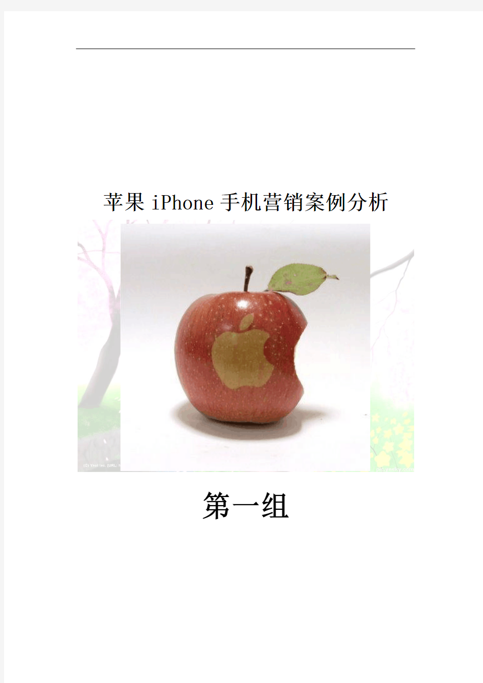 苹果iPhone手机营销案例分析