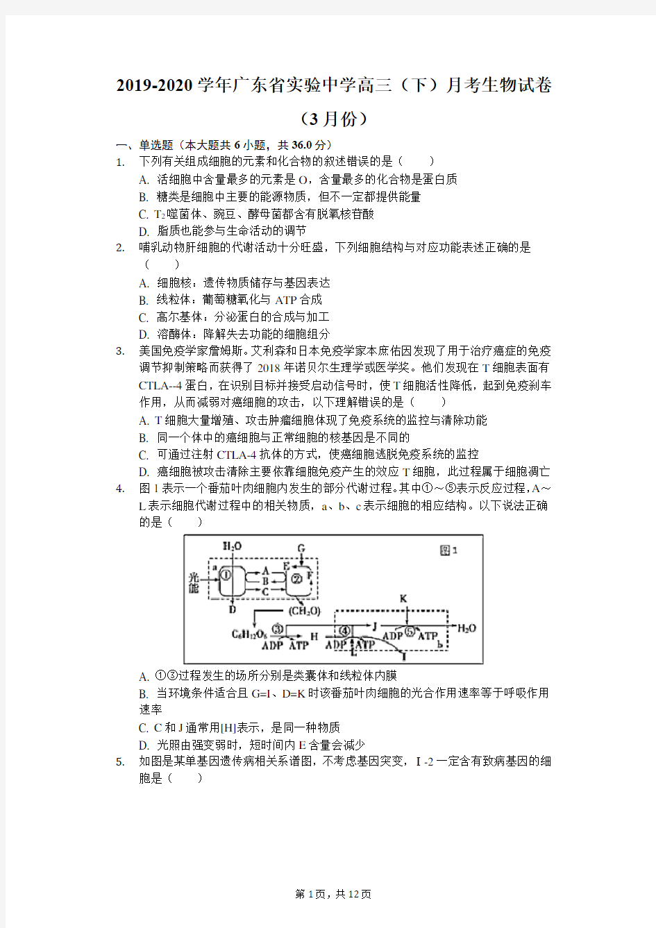 2019-2020学年广东省实验中学高三(下)月考生物试卷(3月份)(含解析)