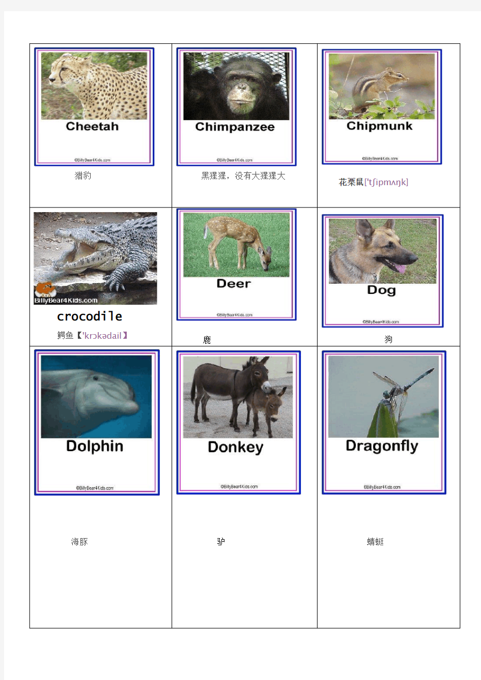 动物英语名称及图片