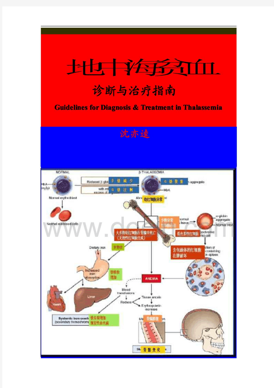 地中海贫血诊断与治疗指南