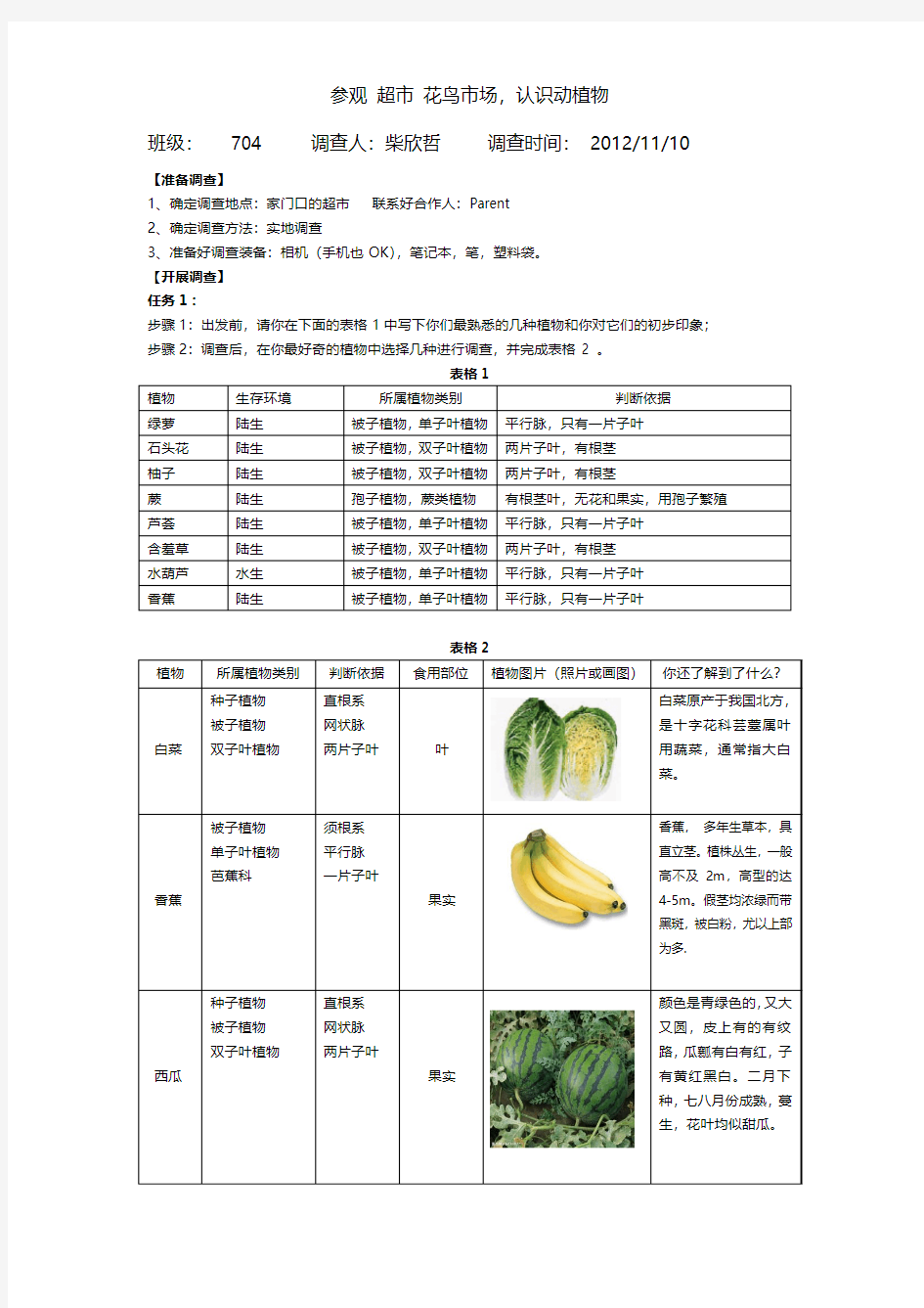 动植物小调查 调查表