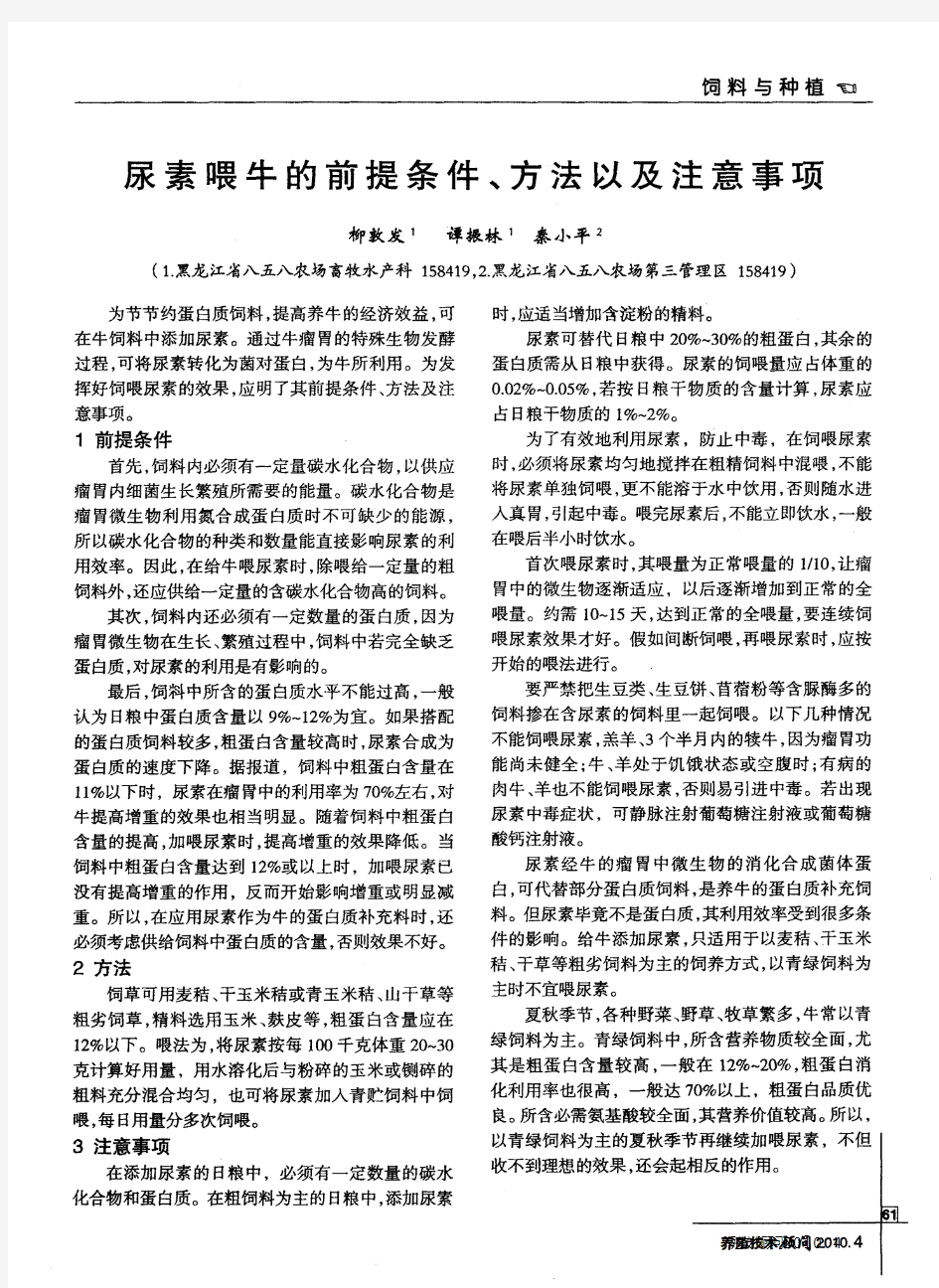 尿素喂牛的前提条件、方法以及注意事项