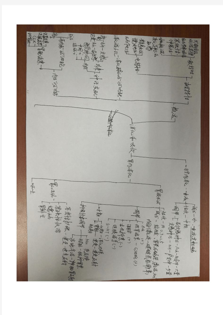 生理学知识点思维导图6.消化与吸收(1)