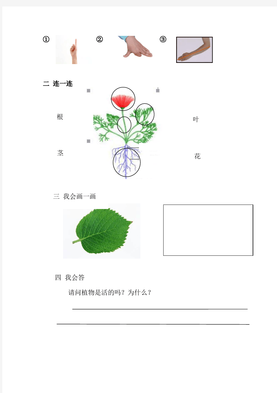 最新教科版一年级科学上册期末考试试卷