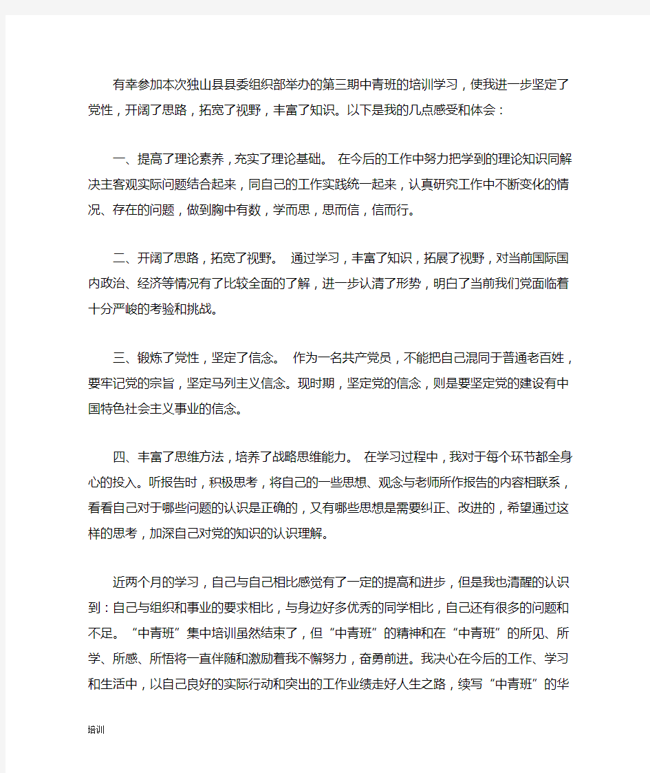 中青班培训总结个人小结.doc