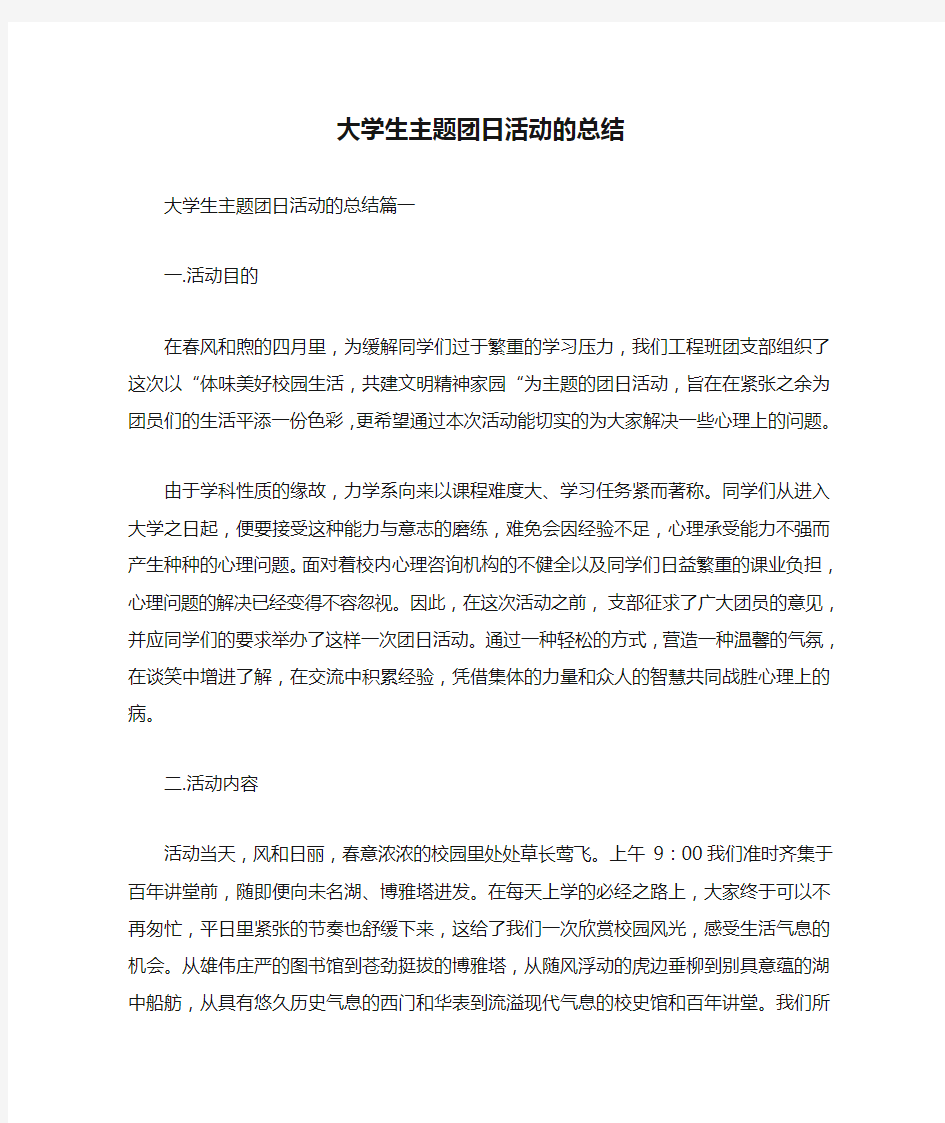 大学生主题团日活动的总结