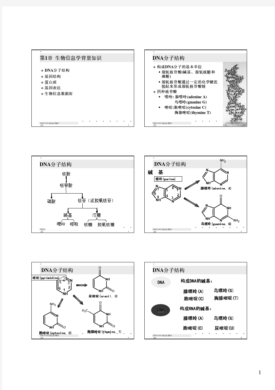 1-生物信息学背景知识