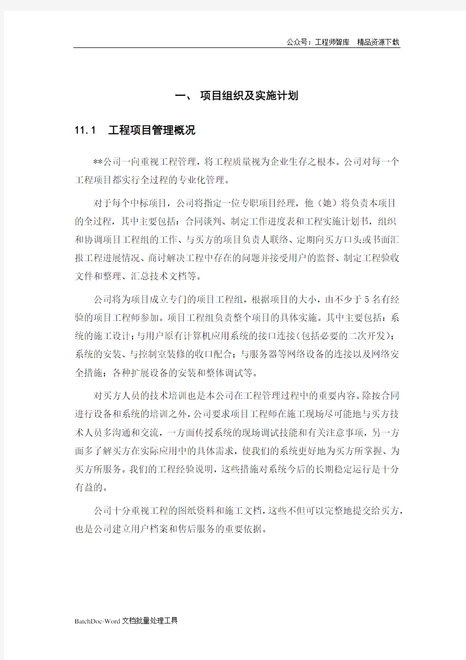 项目组织及实施计划(word)