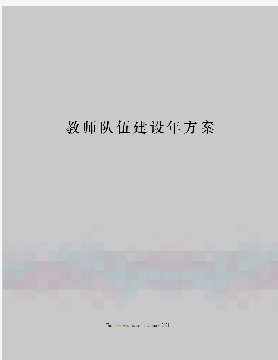 教师队伍建设年方案