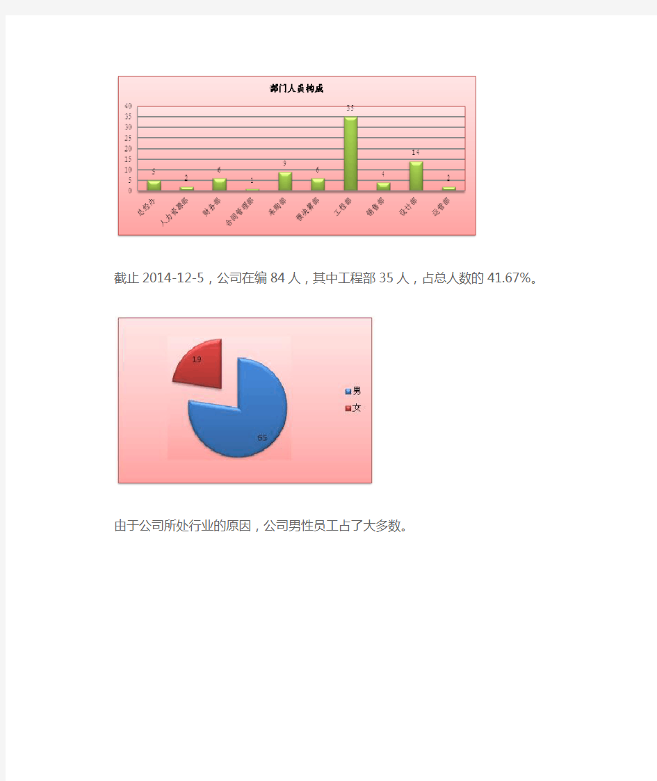 人力资源年度规划