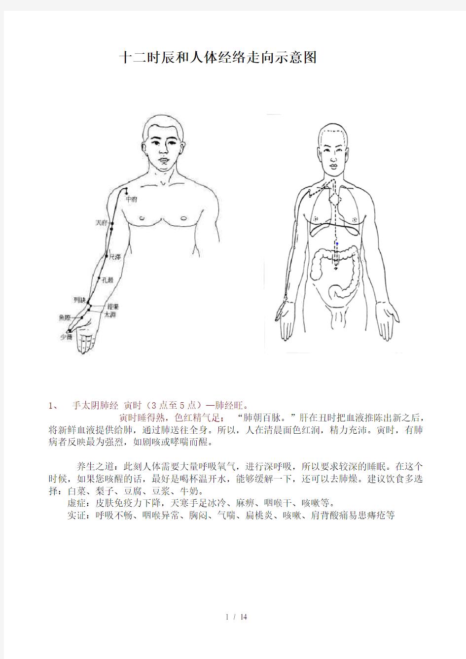 人体经络穴位走向