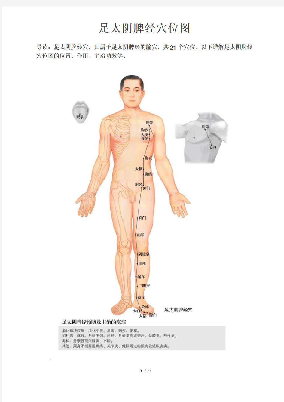 足太阴脾经穴位图
