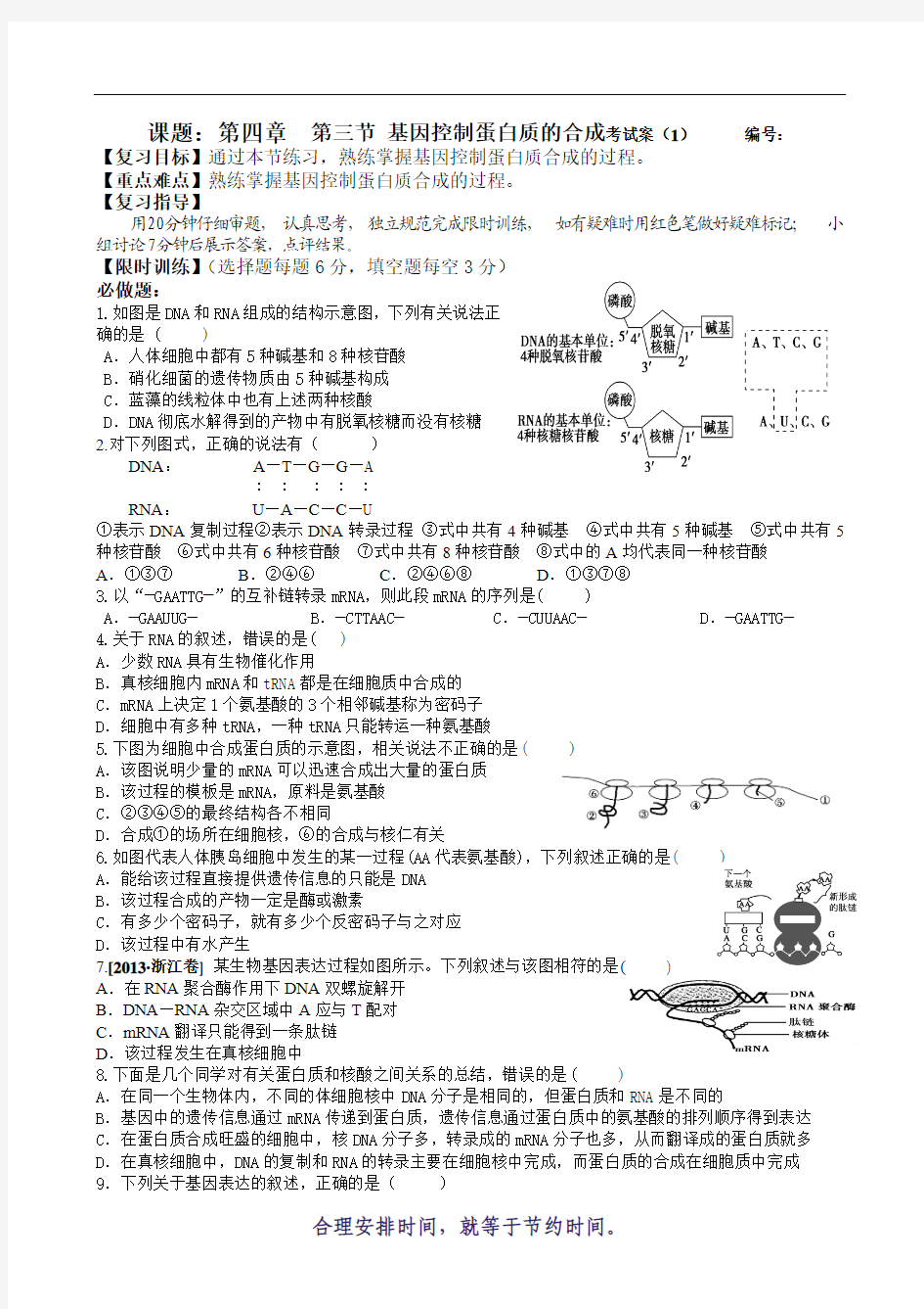 基因控制蛋白质的合成考试案(1)